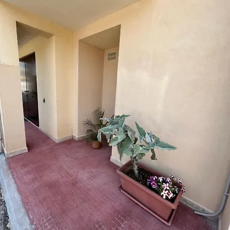 Appartamento Oasi Sicula